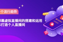专业绿幕虚拟直播间的搭建和运用,低成本打造个人直播间-创业信息网