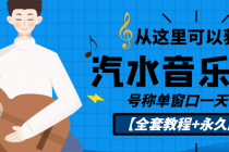 外面收费1500的汽水音乐人挂机项目,号称单窗口一天100+【教程+永久脚本】-创业信息网