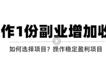 新手如何通过操作副业增加收入,从项目选择到玩法分享!【视频教程】-创业信息网