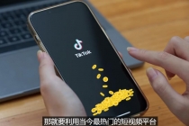 TIKTOK海外赚钱项目:不需录制视频 只需简单的剪辑 月赚3000到5000美元-创业信息网
