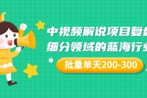 某付费文章:中视频解说项目复盘:细分领域的蓝海行业 批量单天200-300收益-创业信息网