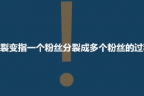 「粉丝裂变训练营」0-1-1w爆发式增长,24小时不断的涨粉-睡觉也在涨-16节课-创业信息网
