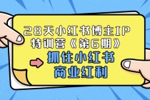 28天小红书博主IP特训营《第6期》,抓住小红书商业红利 (价值1999)-创业信息网