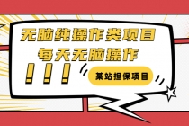 某站担保项目:无脑纯操作类项目,每天无脑操作,需要周转资金【揭秘】-创业信息网