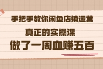 2022版《手把手教你闲鱼店铺运营》真正的实操课 做了一周血赚五百 (16节课)-创业信息网