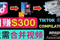 搬运Tiktok短视频到Youtube赚钱,只需下载,合并视频,日赚300美元-创业信息网