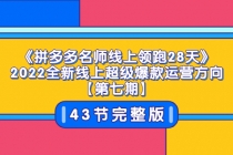 《拼多多名师线上领跑28天》2022全新线上超级爆款运营方向【第七期】43节课-创业信息网