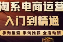 淘系电商入门到精通 手淘搜索,手淘推荐,全店动销-创业信息网