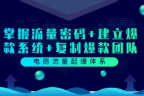 电商流量起爆体系:掌握流量密码+建立爆款系统+复制爆款团队-创业信息网