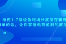 电商1-7层级盈利增长底层逻辑课:用简单的话,让你掌握电商盈利的底层逻辑-创业信息网
