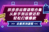 拼多多运营课程合集：从新手到运营进阶，轻松打爆爆款-创业信息网