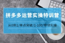 青云:拼多多运营实操特训营:从0到1/单点突破/1-100/带领实操-创业信息网