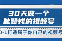 30天做一个能赚钱的视频号,从0-1打造属于你自己的视频号 (14节)-创业信息网