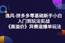 逸风-拼多多零基础新手小白入门到玩法实战《高溢价》异赛道爆单玩法实操课-创业信息网
