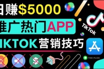 无需露脸,无需录音,无需投资,TIKTOK上传短视频,最高日入5000美元-创业信息网