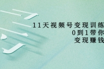 11天视频号变现训练营，从0到1打造变现赚钱系统-创业信息网