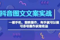 抖音图文毒文案实战:一部手机 剪映操作 有手就能做,单号日入几十 可多号-创业信息网