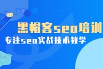 某收费培训课:黑帽客seo培训,专注seo实战技术教学!-创业信息网