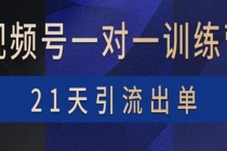 视频号训练营:带货,涨粉,直播,游戏,四大变现新方向,21天引流出单-创业信息网