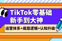 TikTok零基础新手到大神:运营体系+底层逻辑+认知升级-创业信息网