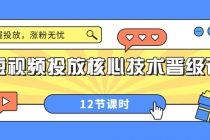 短视频投放核心技术晋级课:掌握投放,涨粉无忧-创业信息网