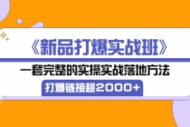 《新品打爆实战班》一套完整的实操实战落地方法,打爆链接超2000+(38节课)-创业信息网