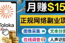 正规网络副业赚钱平台Toloka,利用业余时间月赚150美元-创业信息网