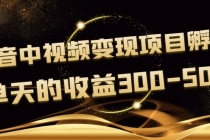 黄岛主《抖音中视频变现项目孵化》单天的收益300-500 操作简单粗暴-创业信息网