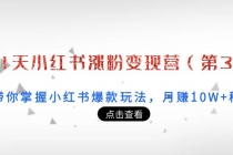 21天小红书涨粉变现营:带你掌握小红书爆款玩法,月赚10W+秘密-创业信息网