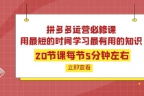 拼多多运营必修课:20节课每节5分钟左右,用最短的时间学习最有用的知识-创业信息网