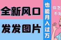 抖音头像号变现0基础教程:全新风口,发发图片也能变现月入10000+-创业信息网