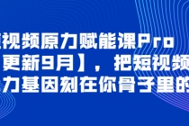 短视频原力赋能课Pro【更新9月】,把短视频能力基因刻在你骨子里的课-创业信息网