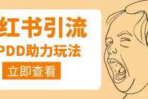 利用小红书卖拼多多助力，日赚100+，顺便还能引个流【视频课程】-创业信息网