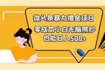 人人都能操作的微头条最新暴力撸金项目,零成本小白无脑搬运也能日入500+-创业信息网