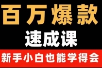 百万爆款速成课：用数据思维做爆款，小白也能从0-1打造百万播放视频-创业信息网