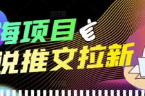 外面收费6880的小说推文拉新项目,个人工作室可批量做【详细教程】-创业信息网