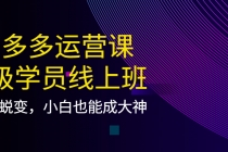 拼多多运营课：超级学员线上班，21天蜕变，小白也能成大神-创业信息网