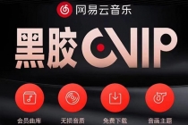 网易云撸黑胶年卡及变现方法,收益可无限放大-创业信息网