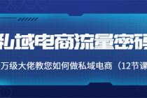 私域电商流量密码:千万级大佬教您如何做私域电商-创业信息网