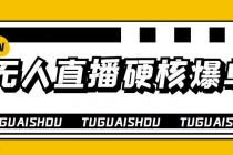 大飞无人直播硬核爆单技术,轻松玩转无人直播,暴利躺赚-创业信息网