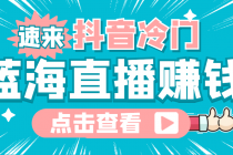 最新抖音冷门简单的蓝海直播赚钱玩法,流量大知道的人少,可做到全无人直播-创业信息网