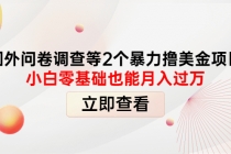 国外问卷调查等2个暴力撸美金项目,小白零基础也能月入过万-创业信息网