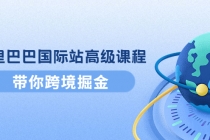 阿里巴巴国际站高级课程:带你跨境掘金,选品+优化+广告+推广-创业信息网