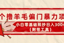 外面卖998的三个撸羊毛偏门暴力项目，小白零基础照抄日入300+-创业信息网