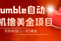 外面收费3888的rumble撸美金项目,号称单窗口一天5美金+【脚本+教程】-创业信息网