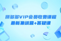 某社群·拼多多VIP会员收费课程,最新集训营+答疑课-价值3299元-创业信息网