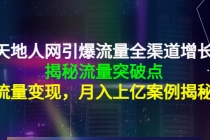 天地人网引爆流量全渠道增长:揭秘流量突然破点,流量变现,月入上亿案例-创业信息网