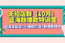 无招店群·蓝海群爆款特训营(10月新课) 低成本起店+小爆款打造+群爆款维护-创业信息网