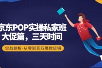 京东POP实操私家班:大促篇,3天时间,实战剖析-从零到百万爆款店铺-创业信息网