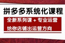 车神陪跑,拼多多系统化课程,全新系列课+专业运营给你店铺出运营方向-创业信息网